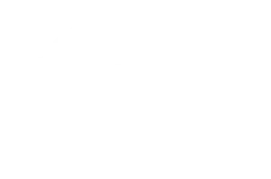 dsmlogo white